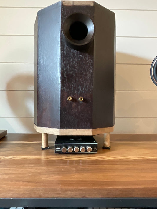 Summit Decagonal Prism- Unique Series - 8 Inch DVC Powered Subwoofer